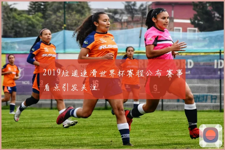 2019短道速滑世界杯赛程公布 赛事看点引发关注