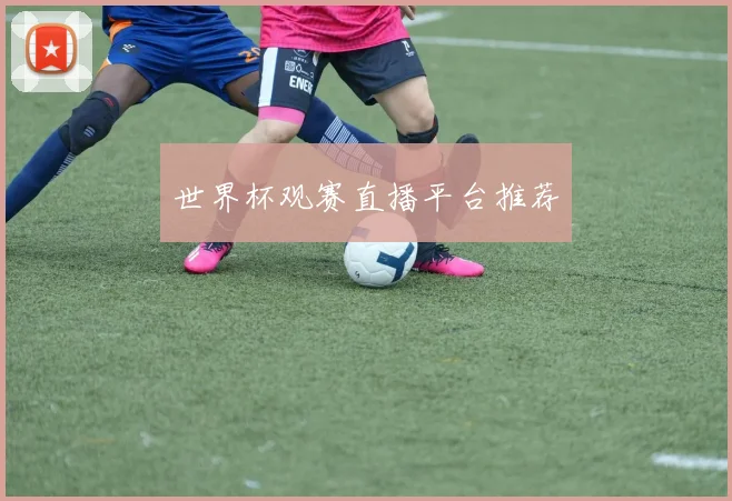 世界杯观赛直播平台推荐